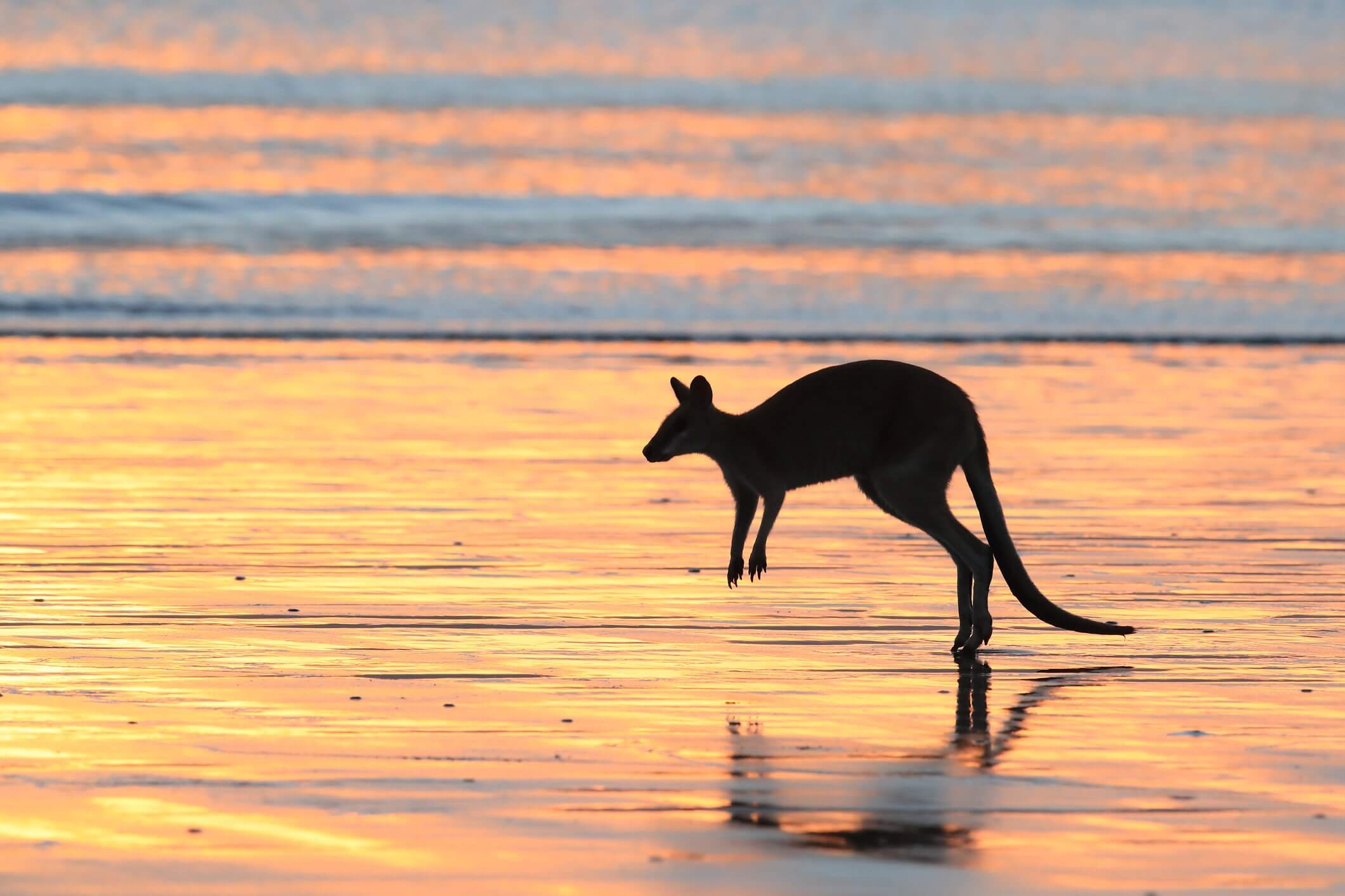 Australia's secret beaches