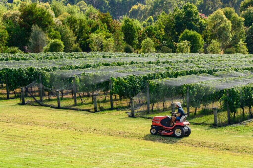 Port Phillip Estate vineyards