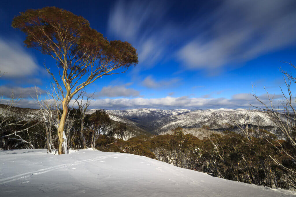 Mount Hotham is one of our recommended destinations for this 2023 ski season in Australia