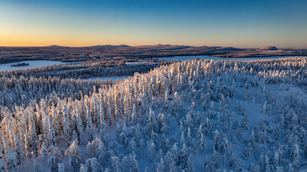 Lapland's wilderness