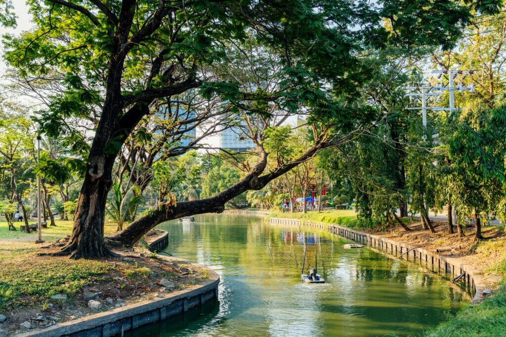 Bangkok's Lumpini Park undergoing a rejuvenation for its centenary