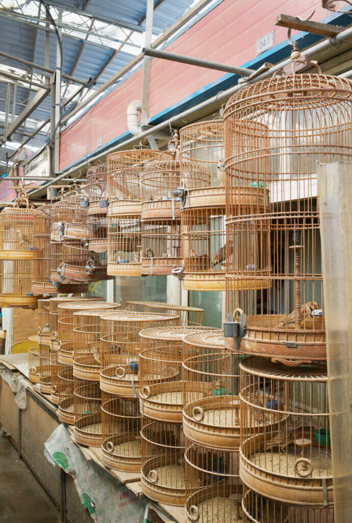 Caged birds for sale at Shanghai market