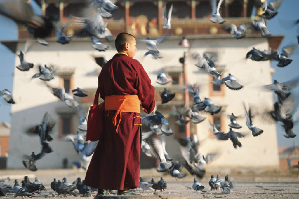 Buddhist monk feeding pigeons in Ulaanbaatar, the last station of your TransMongolian train journey 