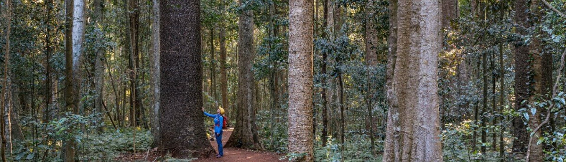 Things to do in Queensland