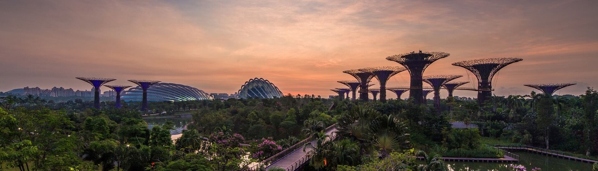Singapore's Gardens By the Bay