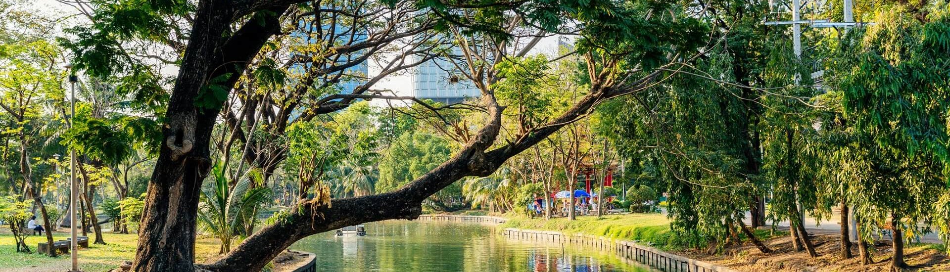 Bangkok's Lumpini Park undergoing a rejuvenation for its centenary