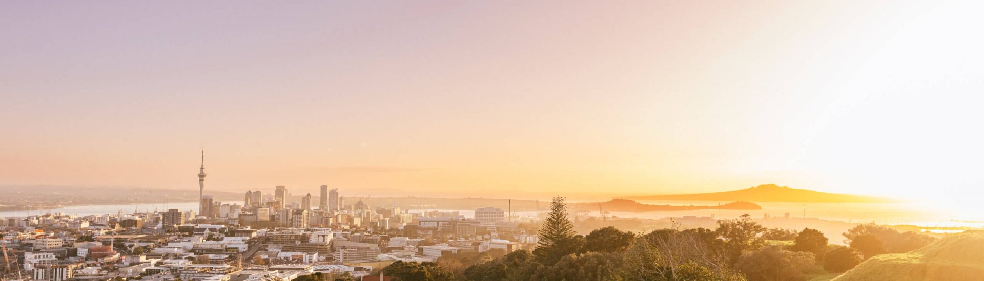Things to do in Auckland for nature lovers